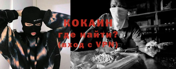 крисы Верхний Тагил