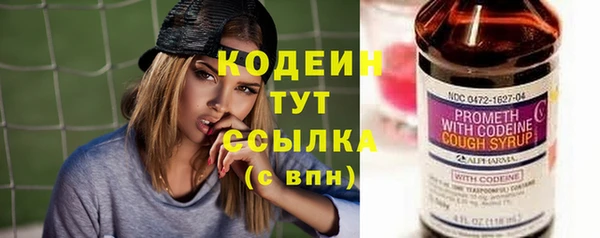 ГАЛЛЮЦИНОГЕННЫЕ ГРИБЫ Верея