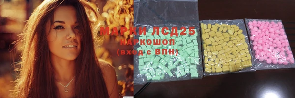 ГАЛЛЮЦИНОГЕННЫЕ ГРИБЫ Верея