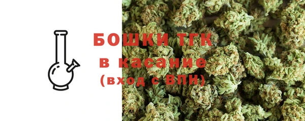 крисы Верхний Тагил