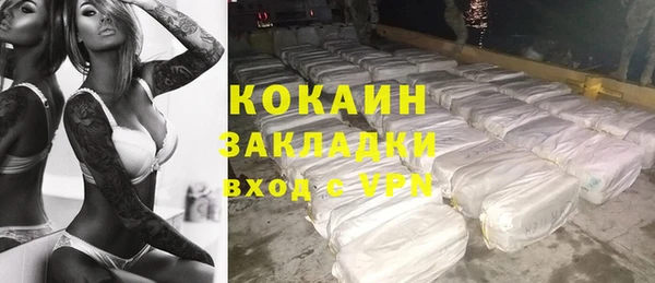 ГАЛЛЮЦИНОГЕННЫЕ ГРИБЫ Верея