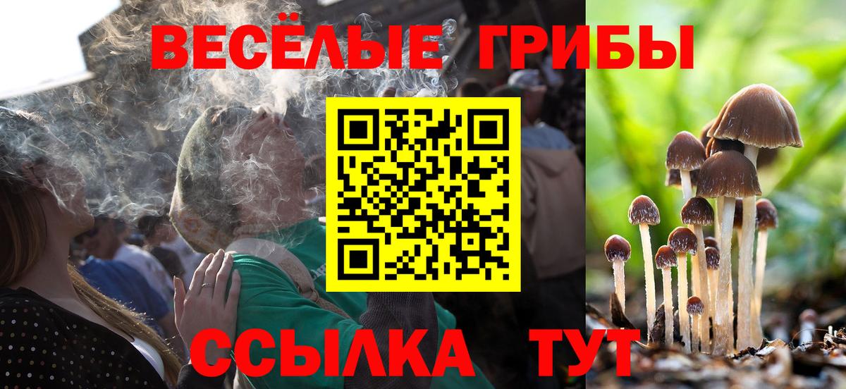 Бугуруслан  Галлюциногенные грибы GOLDEN TEACHER  Вход с VPN 